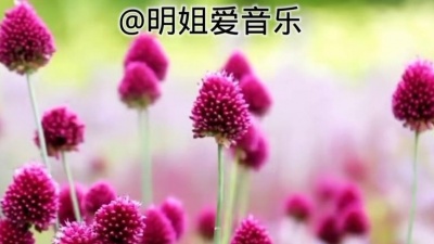 井幽幽 - 分享好听的歌曲！一首《该怎么感谢你 》芳格格：演唱 #分享好听的歌曲