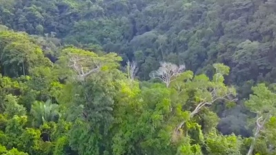 曹毛毛曹 - 哦想