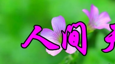 520023950 - 林翠萍一首怀旧老歌《人间天堂》甜美醉人