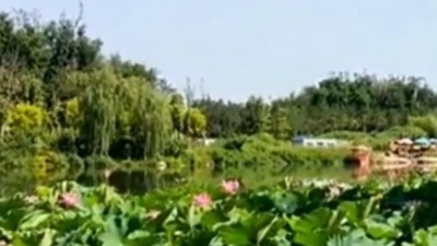 小老妈妈 - 秋裤大叔一首《老地方的雨》歌声婉转悠扬，勾起往事回忆！