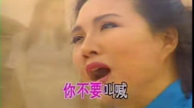 王秀芬 - 黄河怨