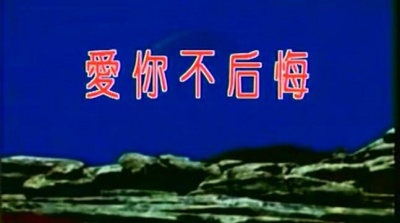 李玲玉 - 爱你不后悔