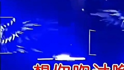 唯一只为迩倾尽所有-- - 想你从前DJ