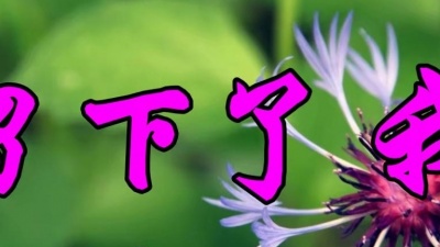 青宝 - 经典情歌！李玲玉一首《留下了我》好听至极