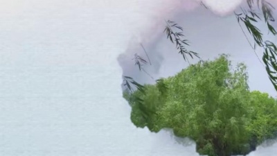 诗韵轻歌 - 《杨柳青》古筝，纯音乐欣赏