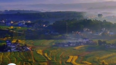 江湖段王爷 - 纯音乐古筝曲《风月无古今》往日时光