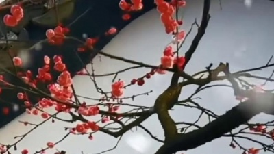 是西安风味 - 怀旧金曲《英雄赞歌》二胡琵琶奏，旋律优美动听