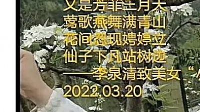 李泉清 - 梨花仙子
