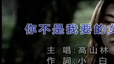 高山林 - 你不是我要的女人