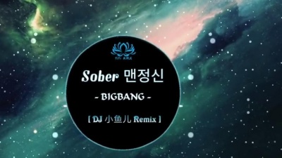 瞬间就懵逼了 - BIGBANG - Sober (DJ Remix)