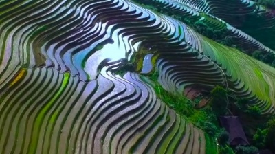 阿宝 - 南泥湾