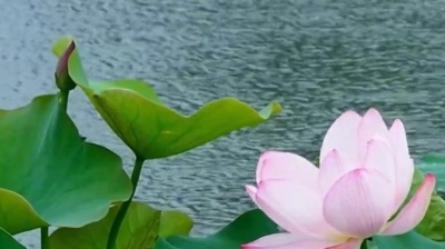 曦元 - 谢采妘一首《无法说再见》动人旋律甜美歌声 美丽景色 好听又好看