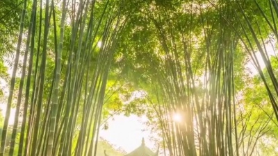 索朗扎西 - 四川姑娘