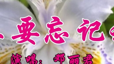 吾爱音乐 - 邓丽君一首经典歌曲《不要忘记我》好听至极