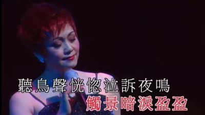 胡美仪 - 心声泪影