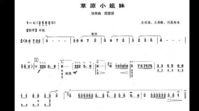 管阿姨 - 草原英雄小姐妹 协奏 刘德海 1
