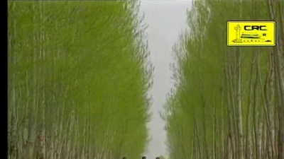 腾格尔 - 唱给黄河听