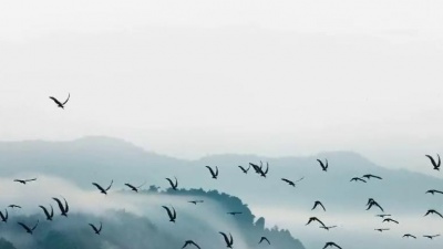 宋晓峰 - 潇潇洒洒