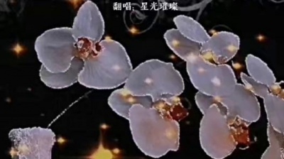 🌹 🌟星光璀璨🎈 🌸 🌺 - 失去亲人的痛，想念亲人的泪