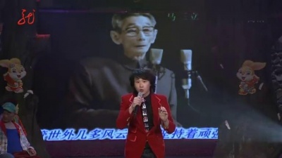 张议天 - 歌星模仿 现场版