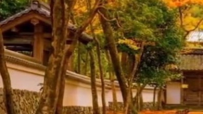 圈内大神 - 心乱一切乱，心安一切安；一切为心造，无心自解脱，颂钵之音，静心疗愈减压#静心疗愈 #冥想 #颂钵音疗