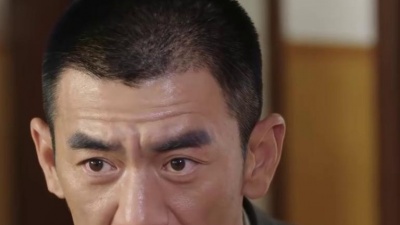 嘉辰 - 陕西经典红色《山丹丹开花红艳艳》歌颂共产党，让人回味无穷