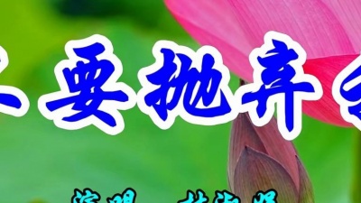 袖珍妈妈逗乐 - 林淑娟一首经典情歌《不要抛弃我》好听极了