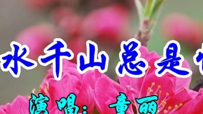 聆听金曲 - 童丽一首经典情歌《万水千山总是情》好听极了