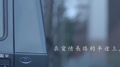 刘若英 - 半路
