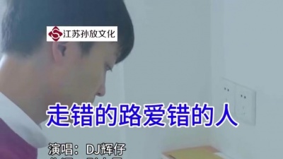 DJ辉仔 - 走错的路爱错的人
