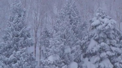 笑天 - 伤心的雪花