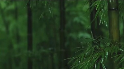 朗诵 - 妈妈，夏天，我