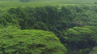 方琼 - 山水迢迢 (之二)