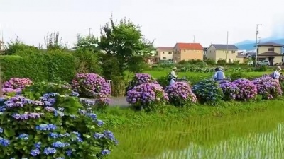 音乐吧 - 新歌！望海高歌_芳格格一曲DJ《爱来得刚好》甜蜜柔情，醉人心肺