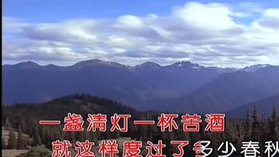 田震 - 守候