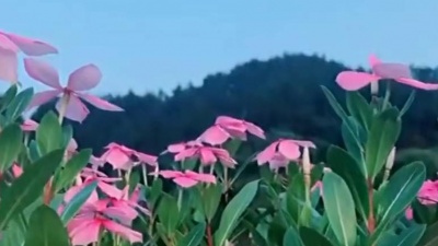 沪宅 - 经典歌曲:英雄赞歌