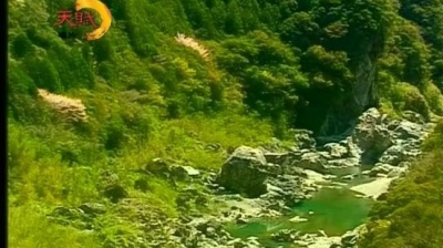 林翠萍 - 情难离