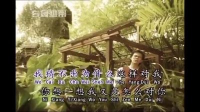 庄学忠 - 为什么要流泪