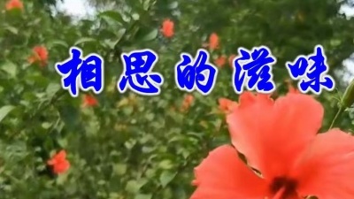 赵晗777 - 庄学忠一首《相思的滋味》太好听了，声声令人心醉！