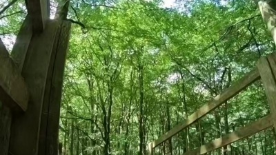 残忍温柔 - 当你骑着山地自行车压马路时，他已经骑着车子上山了。