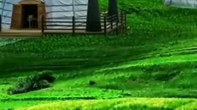 淡笑莫忘了相思 - 《美丽的草原我的家》纯音乐