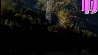 邹玉、小辫哥 - 桃花信笺
