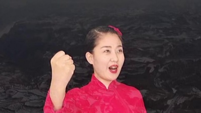王玮 - 山丹丹花开红艳艳～赵婷