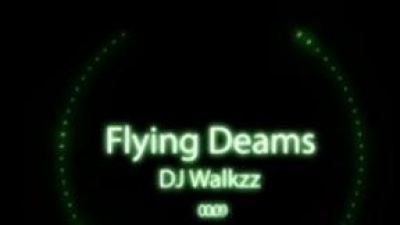 柒柒 - Alan Walker - Flying Dreams
