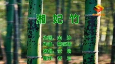 任娟 - 湘妃竹