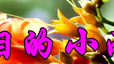 中文金曲 - 高胜美一首怀旧情歌《泪的小雨》句句伤感，令人心碎