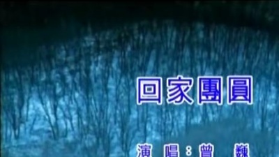 曾巍 - 回家团圆