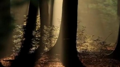 Giovanni Marradi - Fields Of Dreams