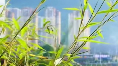 爱唱歌的开心果 - 抖音热歌《桥边姑娘》甜美女声版，柔情的歌声，听起来很舒服！