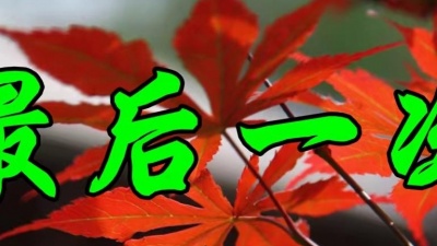 所谓伊伊 - 网络情歌，周虹演唱《最后一次》甜美醉人，好听极了